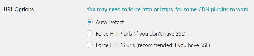 URL Options （URL设置）